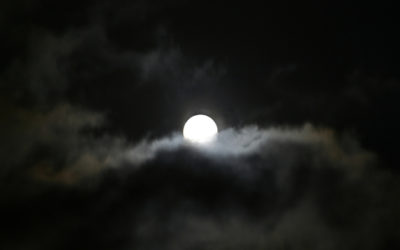 The Night